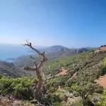 Apartment Saint-raphael- Vue Et Massif De L'esterel *